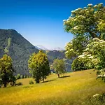 In Near Slopes * Flachau