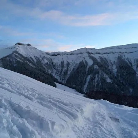 In Near Slopes * Flachau