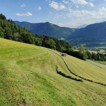 In Near Slopes Апартаменты Флахау