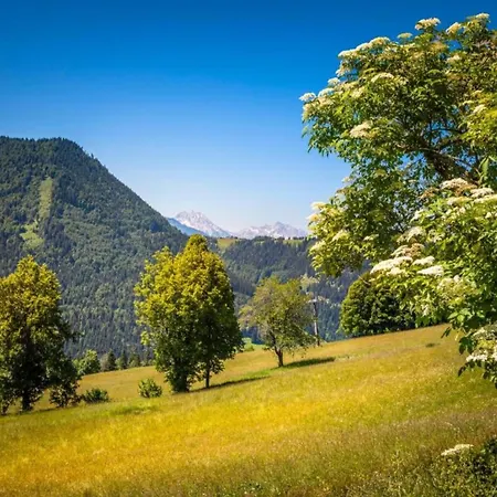 In Near Slopes * Флахау