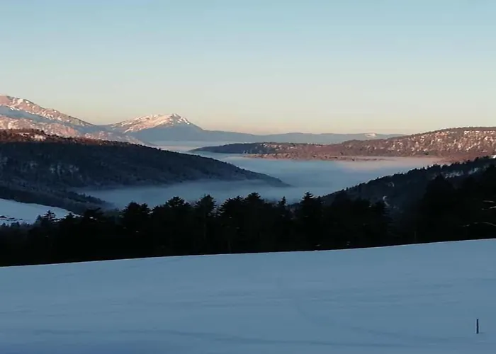 In Near Slopes Daire