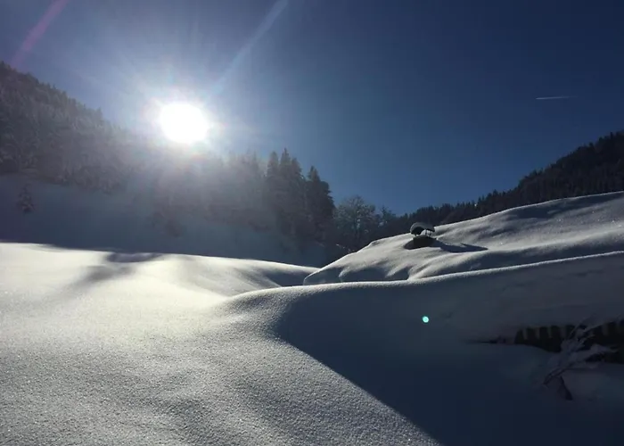 In Near Slopes Daire