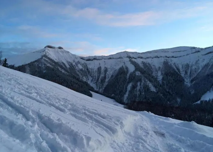 In Near Slopes * Flachau