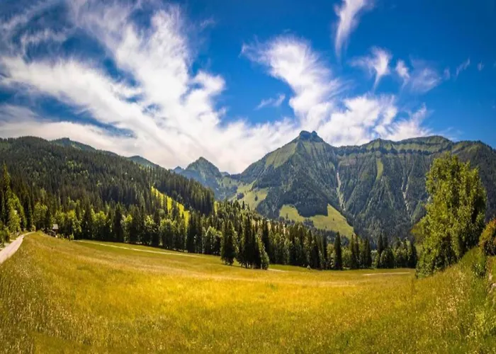 In Near Slopes * Flachau