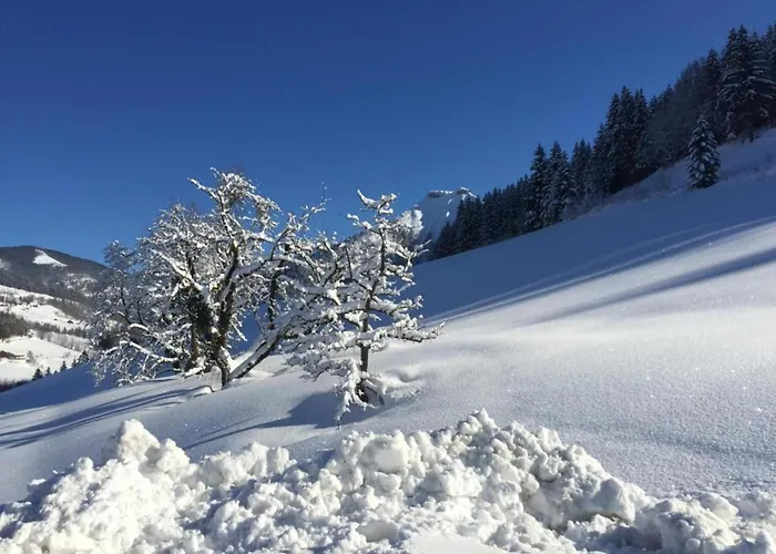 Apartament In Near Slopes