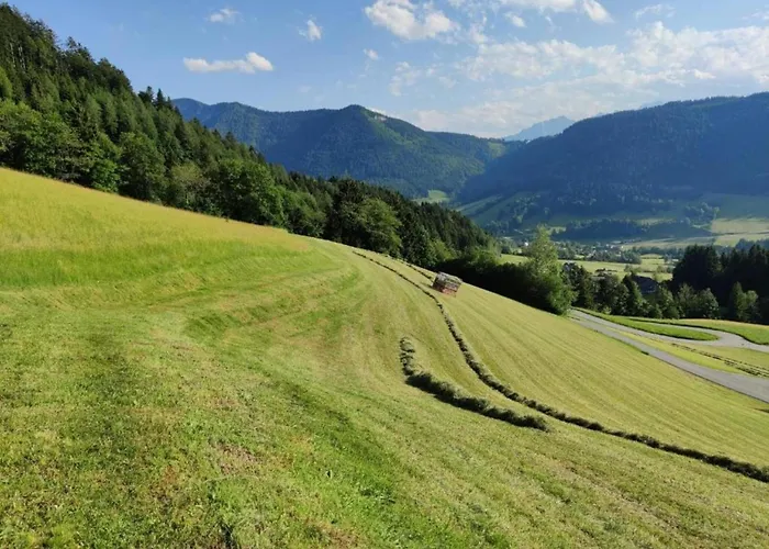 In Near Slopes Daire Flachau