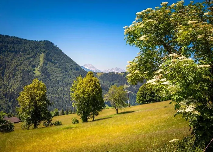 In Near Slopes * Flachau