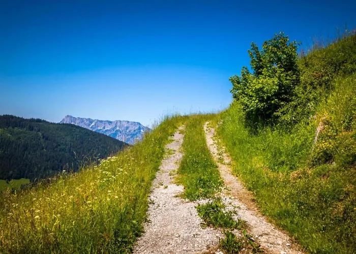 In Near Slopes Daire *